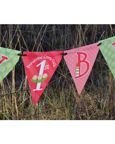 Triplet Girls Peas in a Pod Personalized Party Ribbon Banner