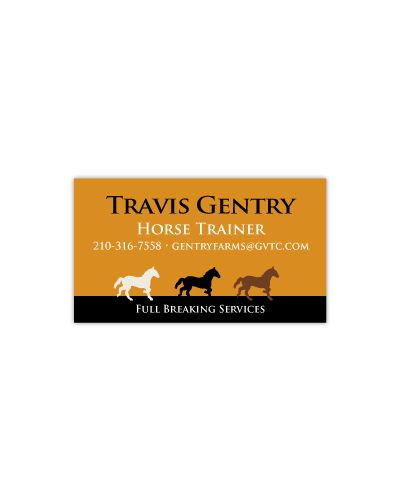 Horse Care Business Cards