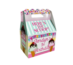 Ice Cream Birthday Party Favor Gable Box
