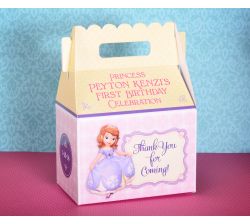 Princess Sofia the First Party Gable Favor Box Pink & Yellow