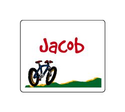Bike Rectangle Sticker